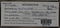 Image Associated With the Occurence